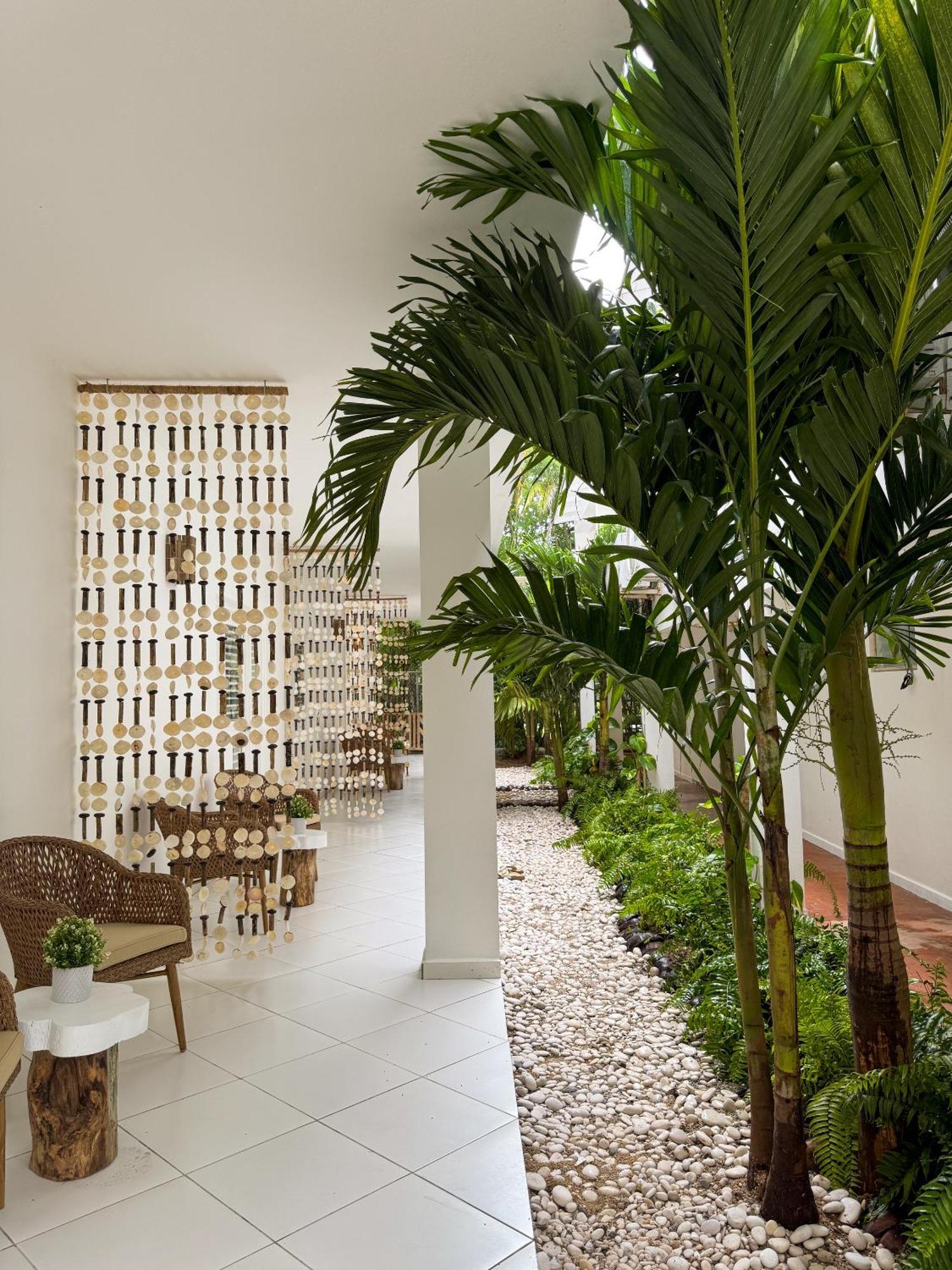 El Mosquito Boutique Hotel Playa Bonita Las Terrenas Ngoại thất bức ảnh