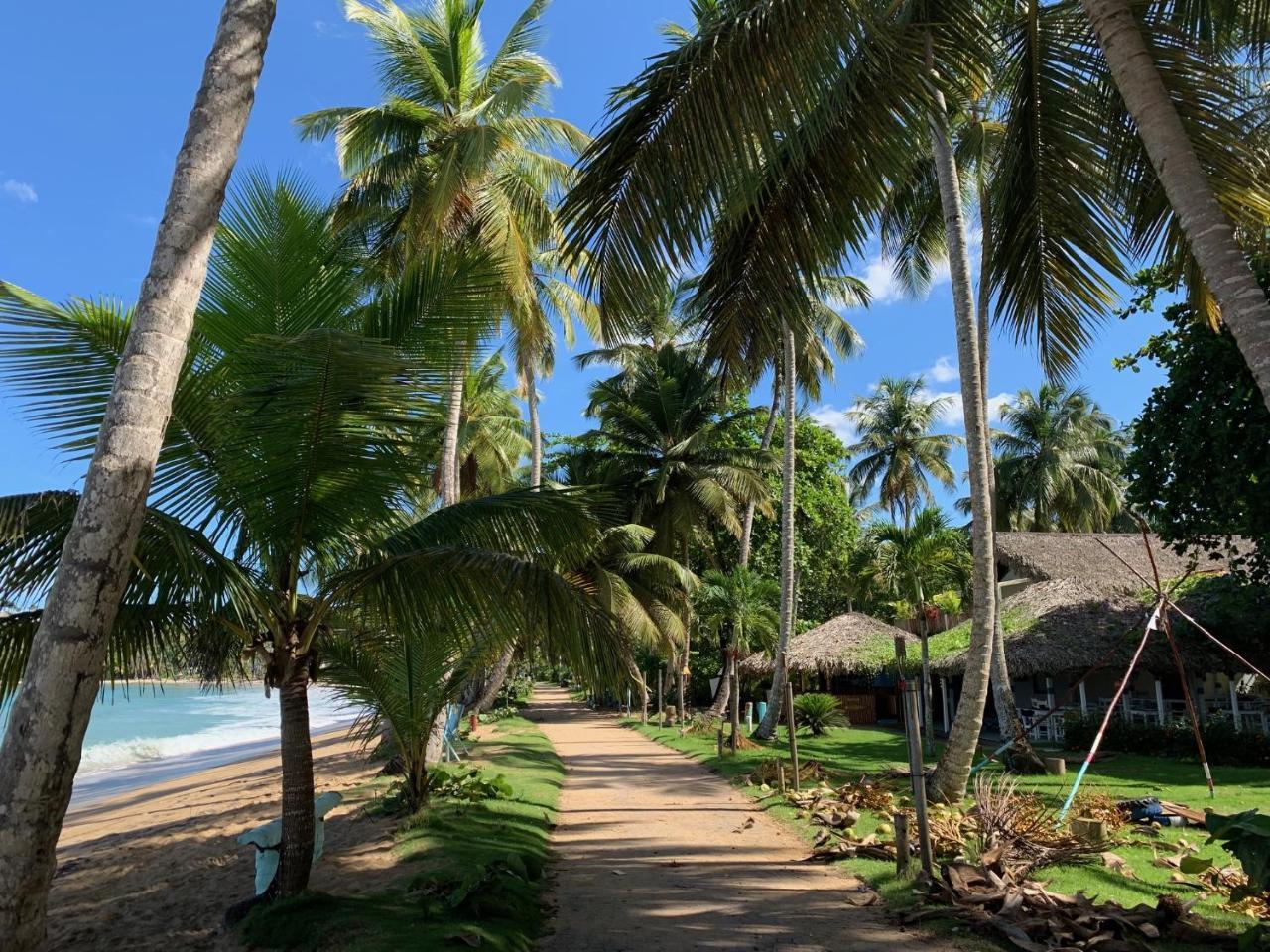 El Mosquito Boutique Hotel Playa Bonita Las Terrenas Ngoại thất bức ảnh
