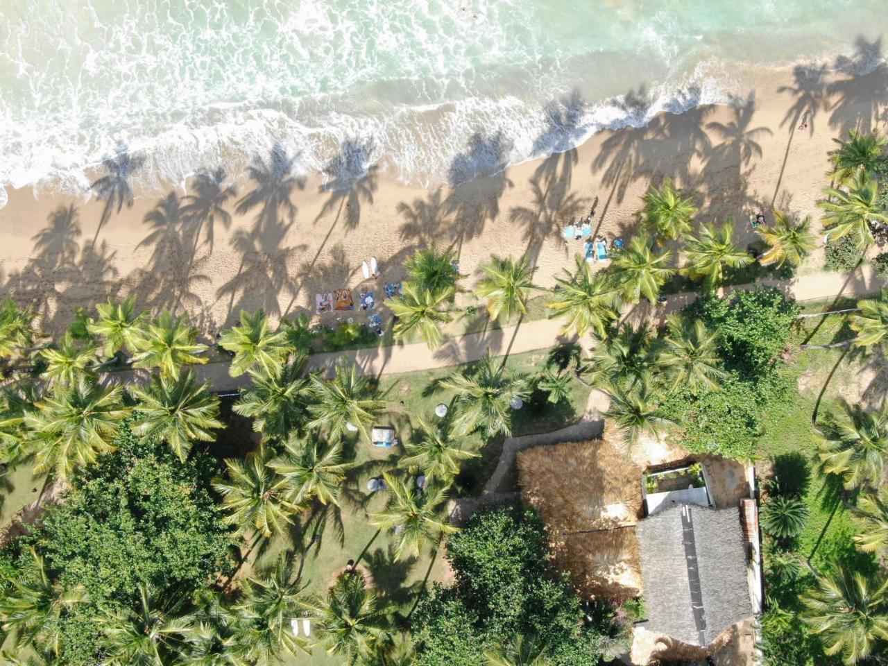 El Mosquito Boutique Hotel Playa Bonita Las Terrenas Ngoại thất bức ảnh