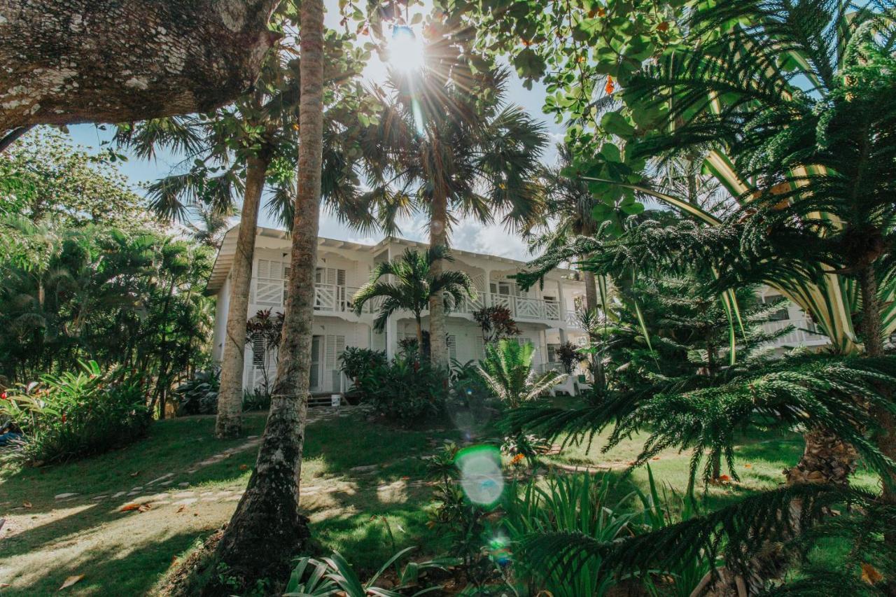 El Mosquito Boutique Hotel Playa Bonita Las Terrenas Ngoại thất bức ảnh