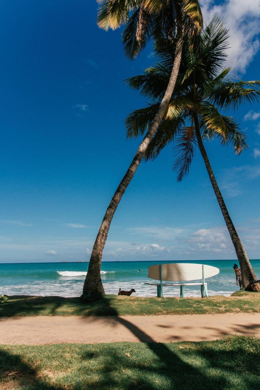 El Mosquito Boutique Hotel Playa Bonita Las Terrenas Ngoại thất bức ảnh