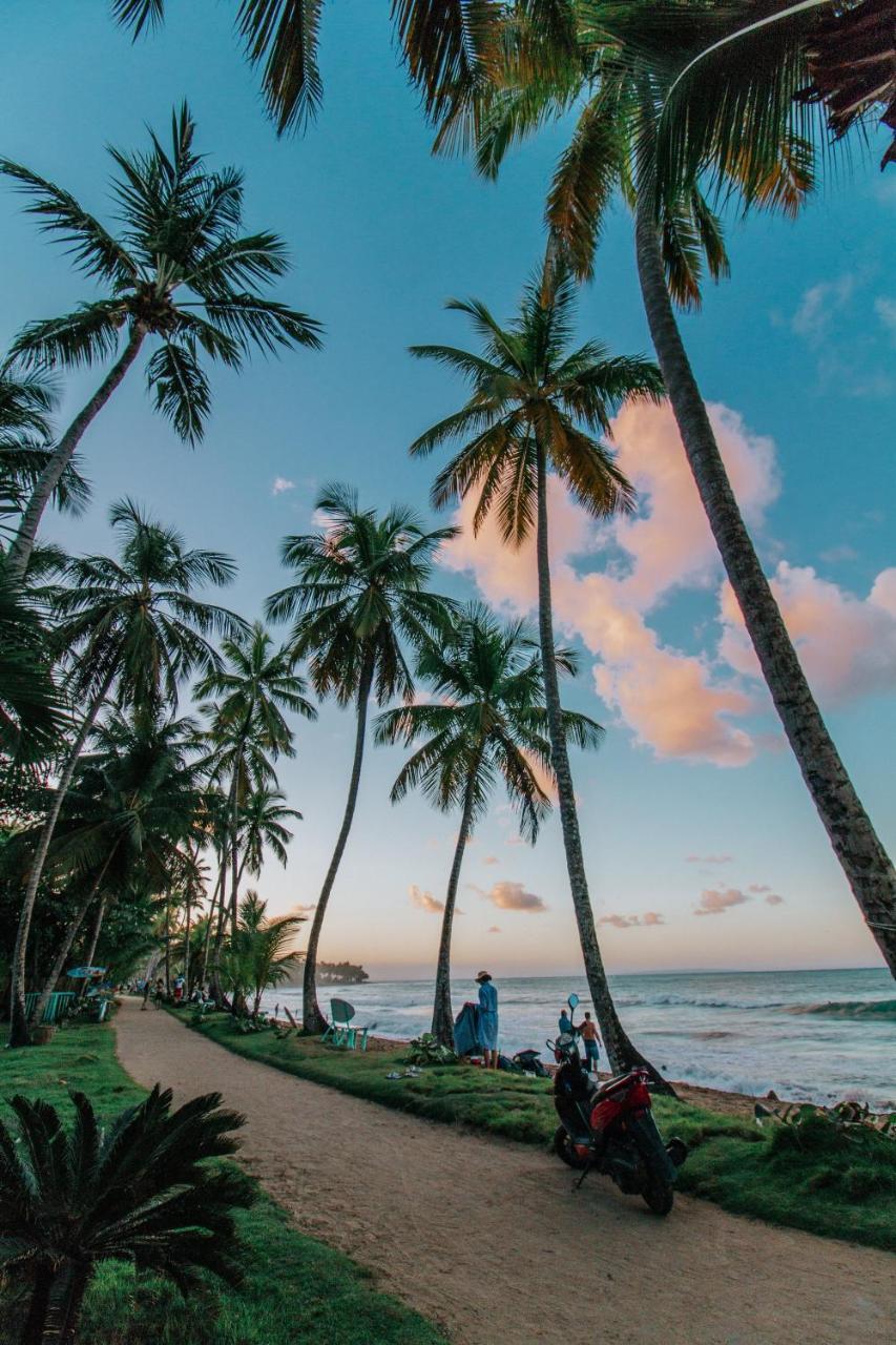 El Mosquito Boutique Hotel Playa Bonita Las Terrenas Ngoại thất bức ảnh